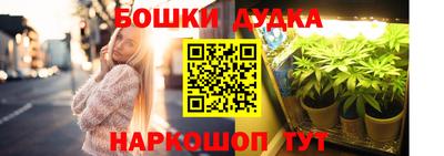 соль ск Будённовск
