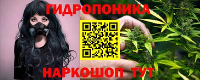 соль ск Будённовск
