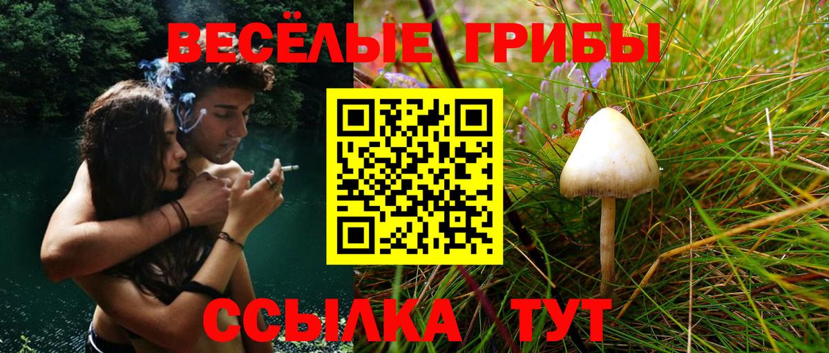 Галлюциногенные грибы Psilocybine cubensis Спасск-Дальний
