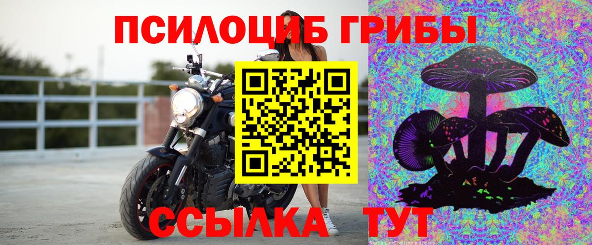 цены   Вход с VPN  Спасск-Дальний  Галлюциногенные грибы Psilocybe 